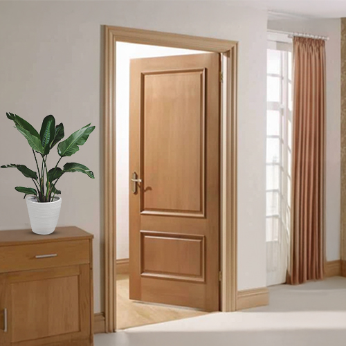 Flush Door